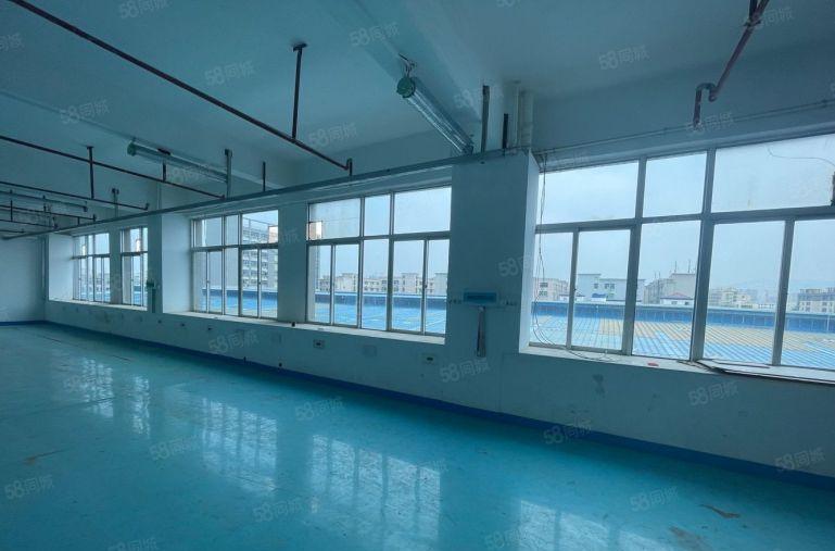 松岗地铁口旁600带装修厂房仓库出租可分租原房东带红本