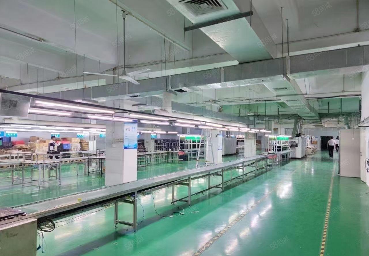 原房东带红本！石岩同富裕工业区1800平带装修厂房出租！