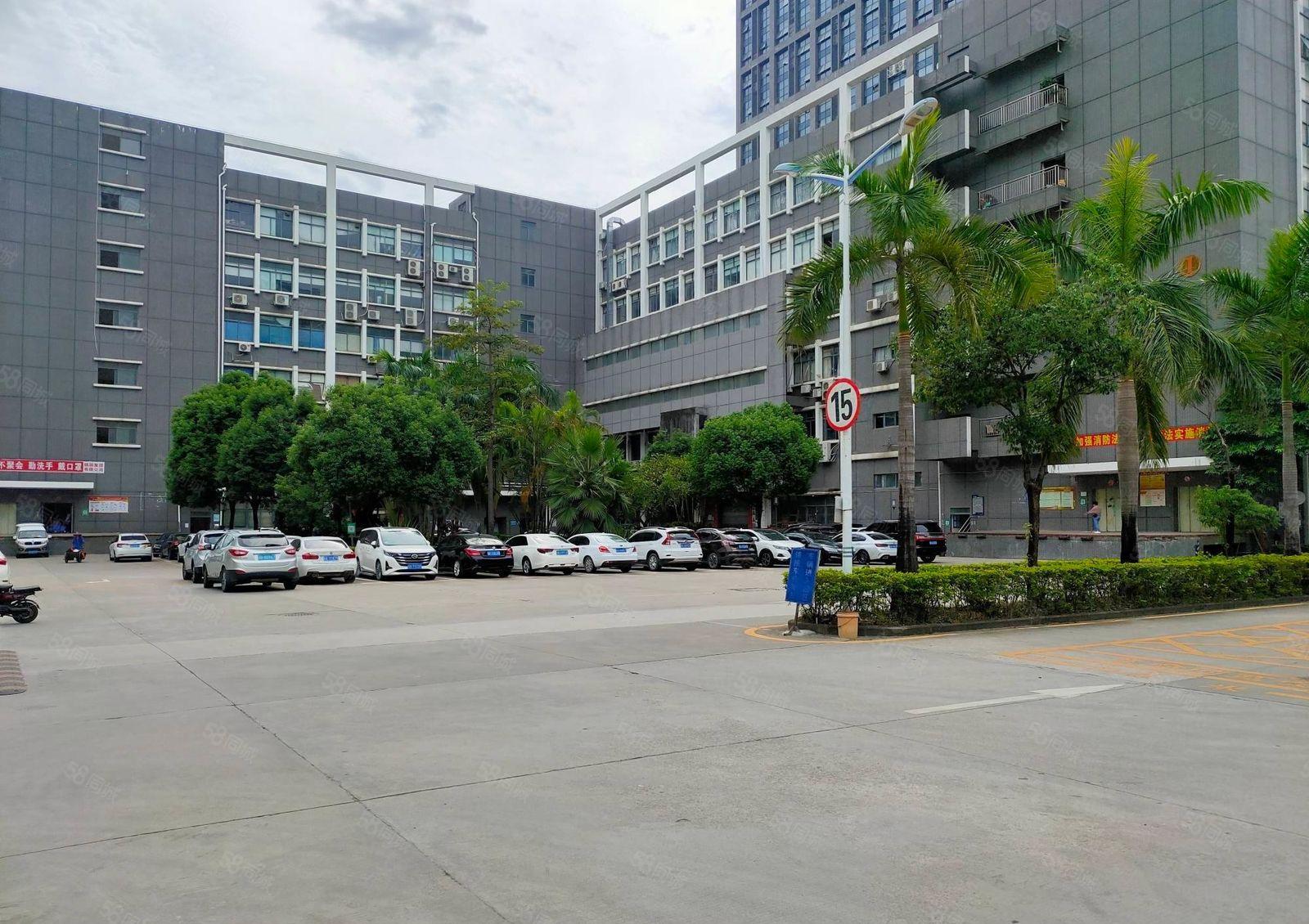 石岩桃花科技园精装500平至10000平电商仓库厂房出租