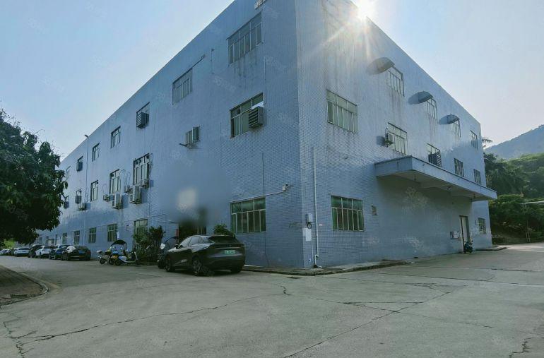 25元每平红本面积整层5000平可分租大型货车出入无忧