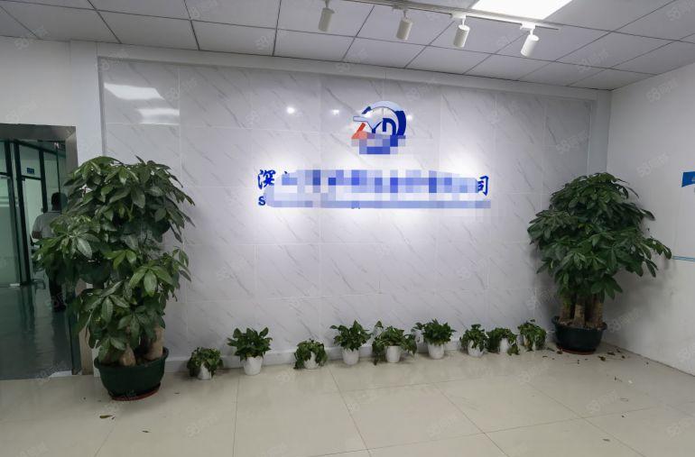 沙井共和新出原房东楼上精装修厂房，现成SMT厂房，办公贸易等