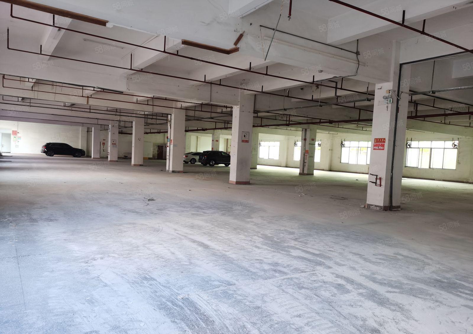 福永凤凰工业园原房东独院一楼2000平物流仓库加工注塑可分租