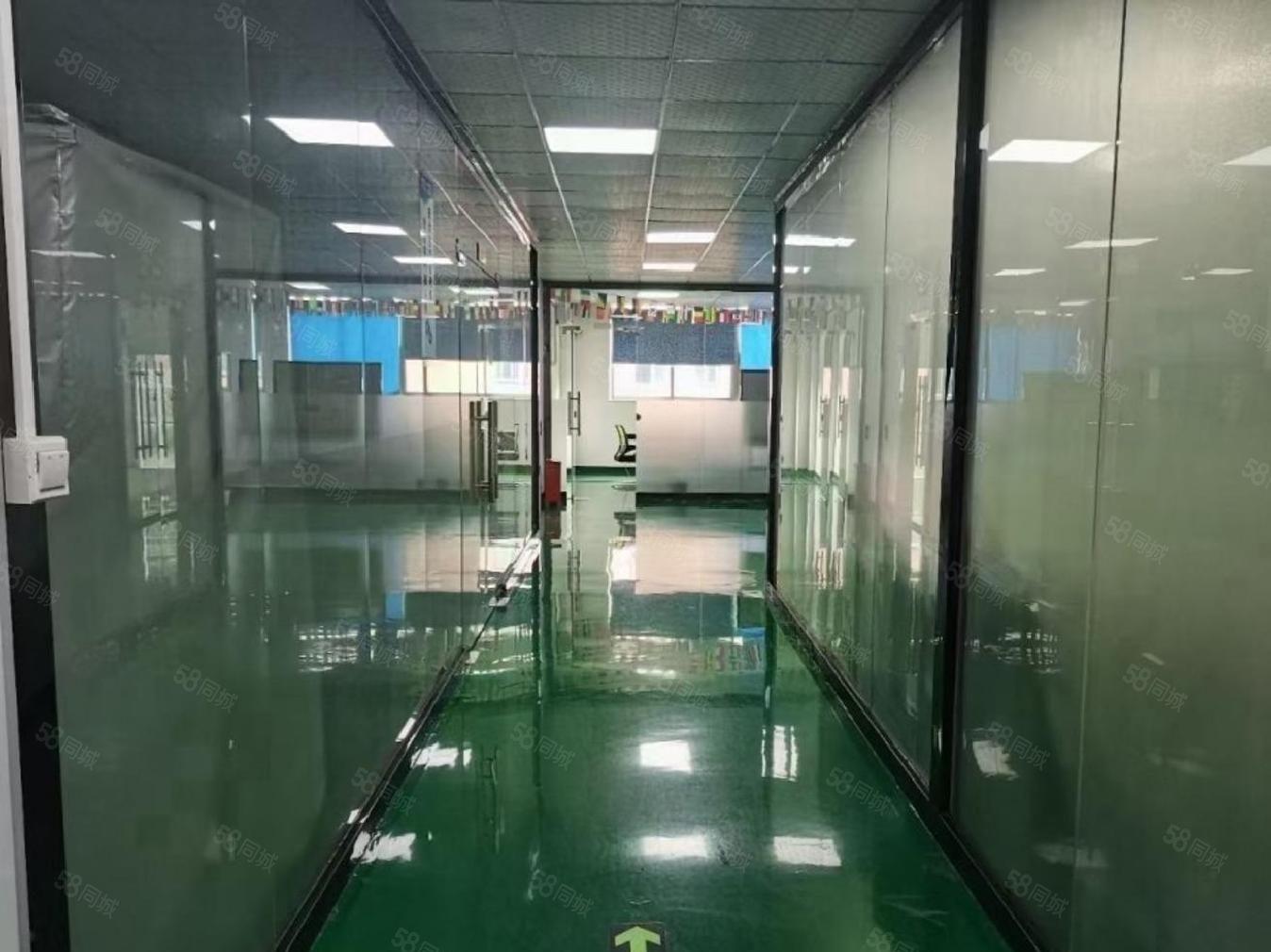 松岗罗田原房东整层2300平厂房出租 无尘车间 豪华精装修