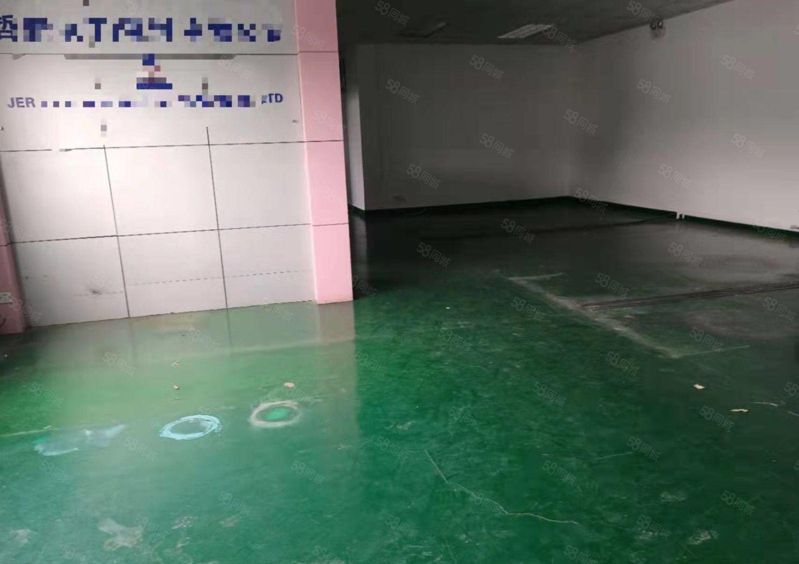 光明区西环大道边上新出厂房楼上实际面积出租1000平方现有装