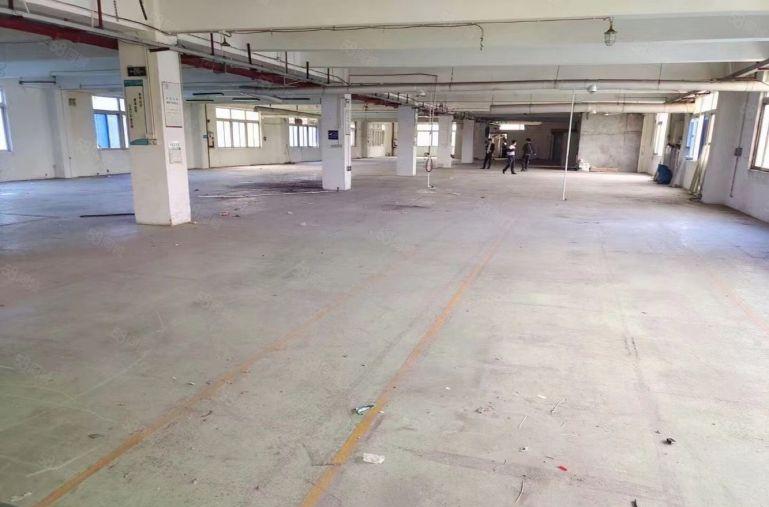 107国道边高7米2300平原房东厂房出租，园有带绿化，鱼池