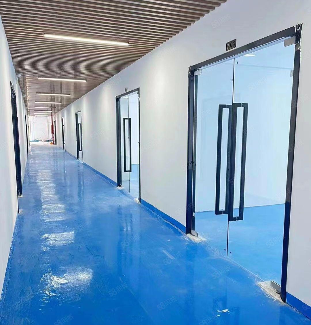 电子加工组装电商仓库小面积带装修厂房