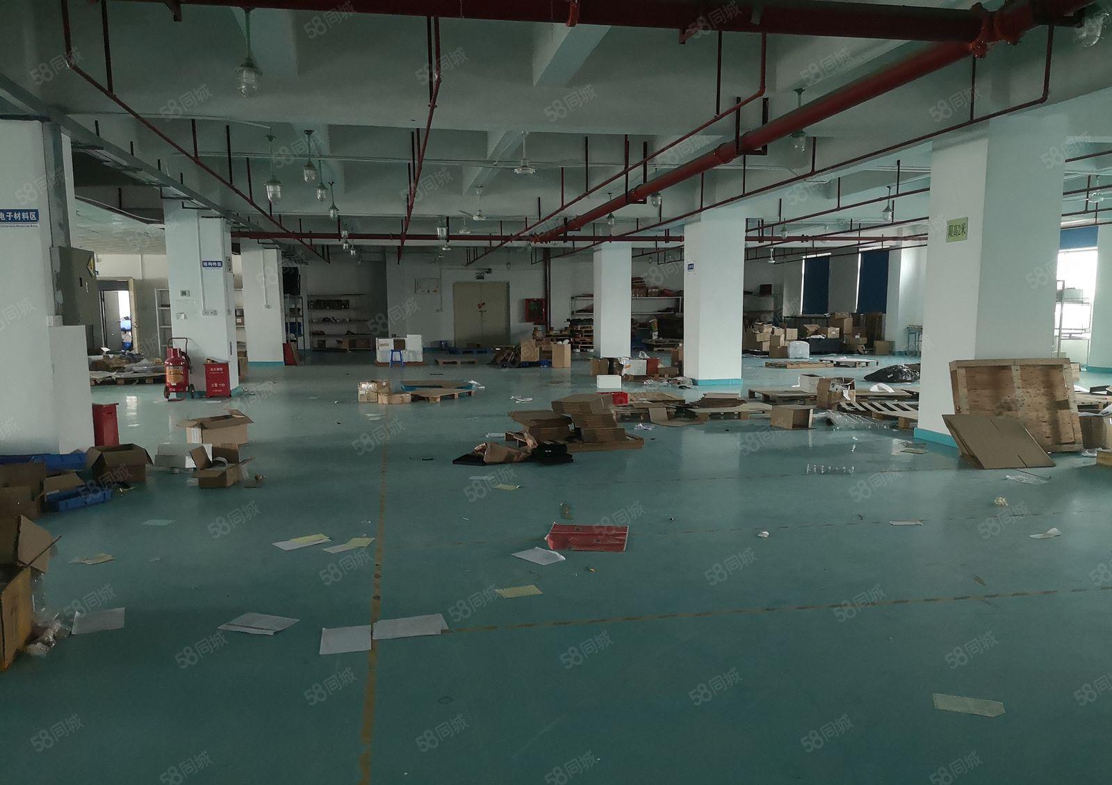 福永桥头新出厂房2400平米带豪华装修招租