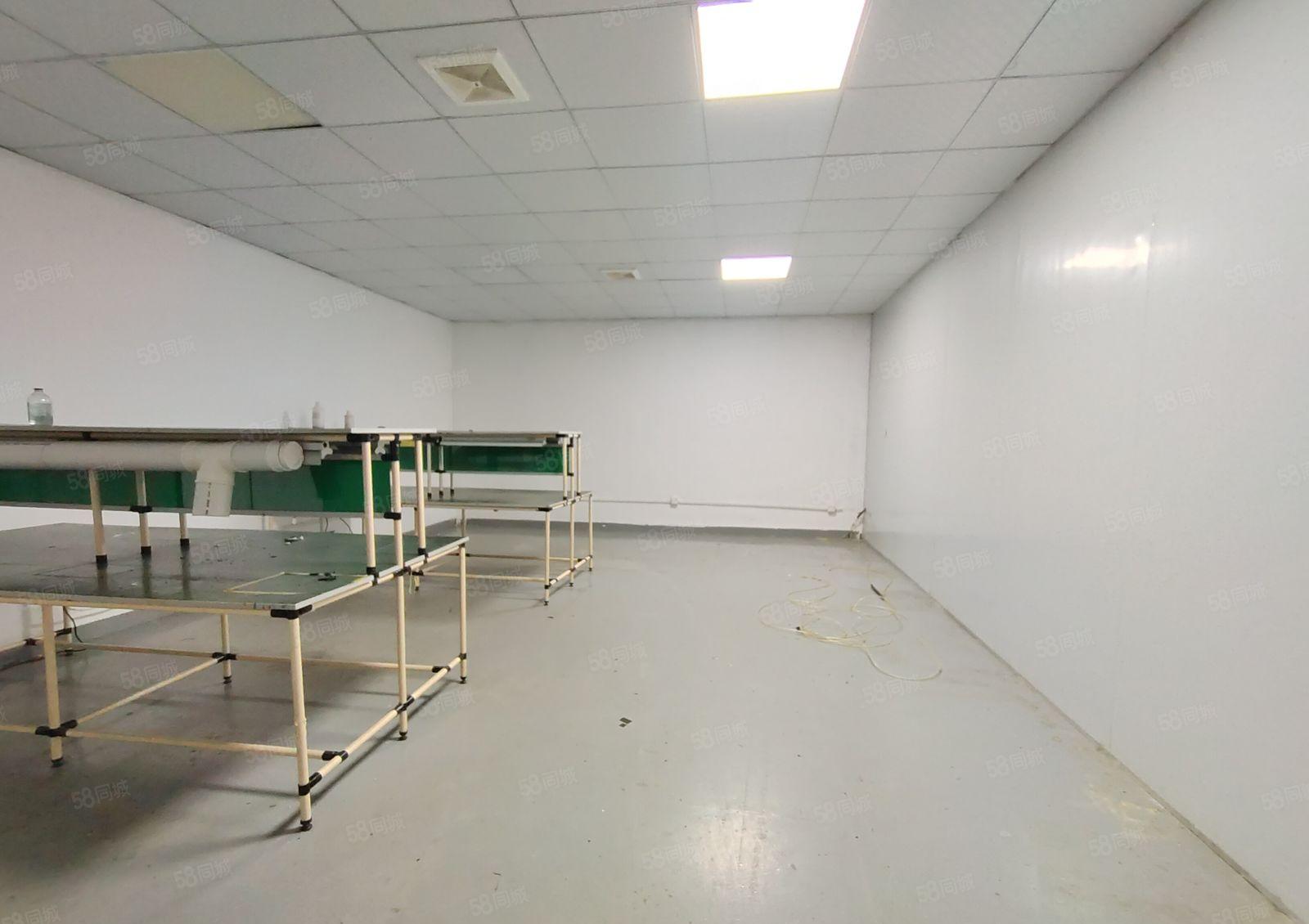 西乡洲石路，九围，电梯口400平精装厂房仓库出租，租金25元