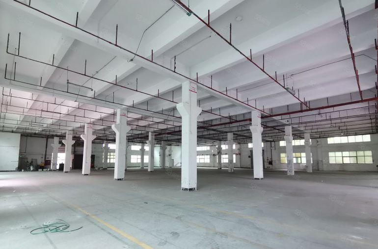 6000平独门独院原房东红本工业厂房低价出租沙井后亭地铁站