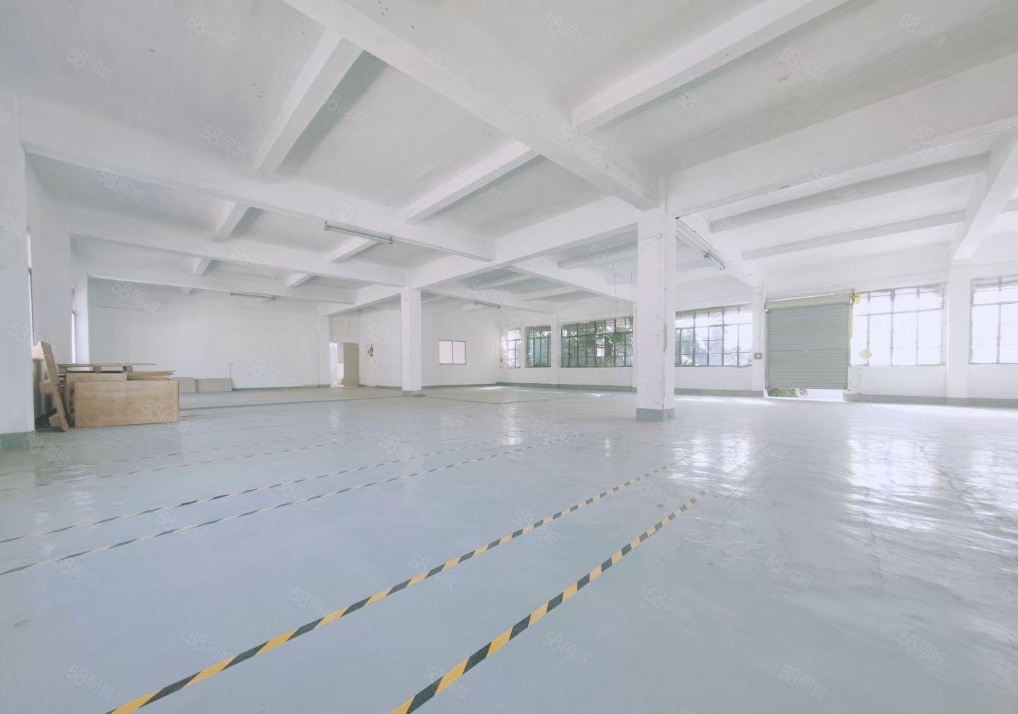 沙井大王山工业园区独门独院6000平大小分租原房东带红本直租