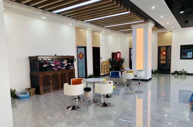 西乡九围工业区精装修无尘车间2000平厂房仓库出租大小可分