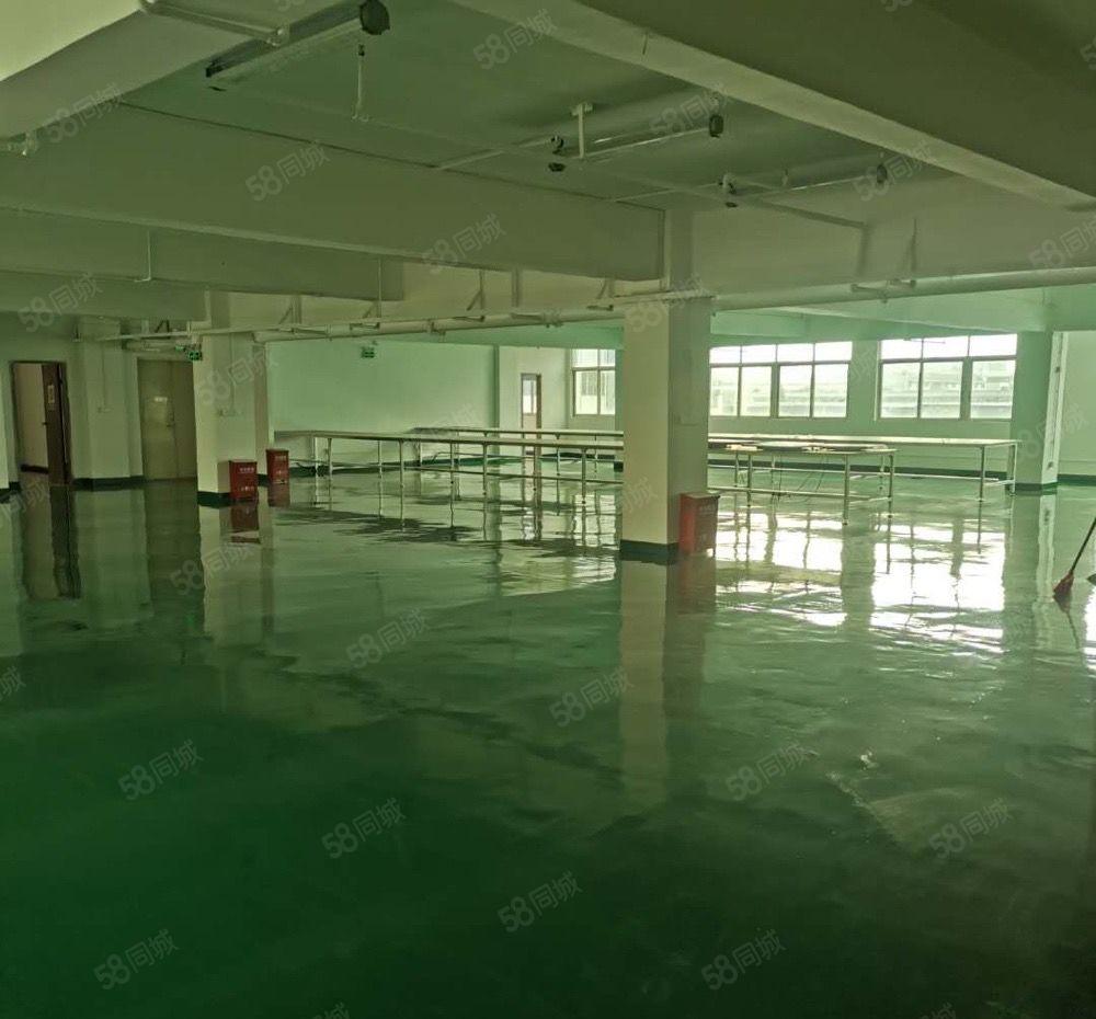 松岗地铁站新出原房东独门独院3500平方厂房招租