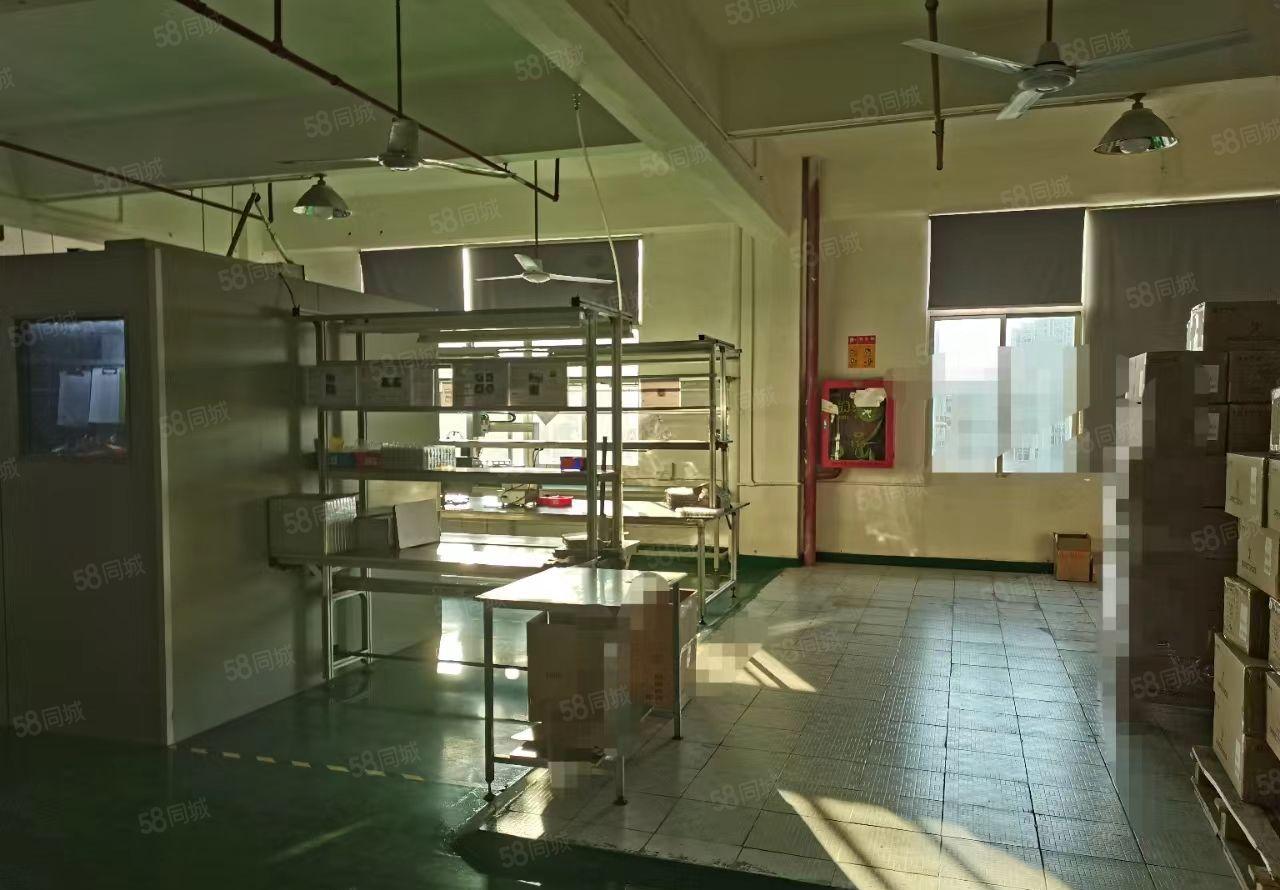 福永塘尾唐美商场附近楼上900平米精装修厂房出租招租分租独院