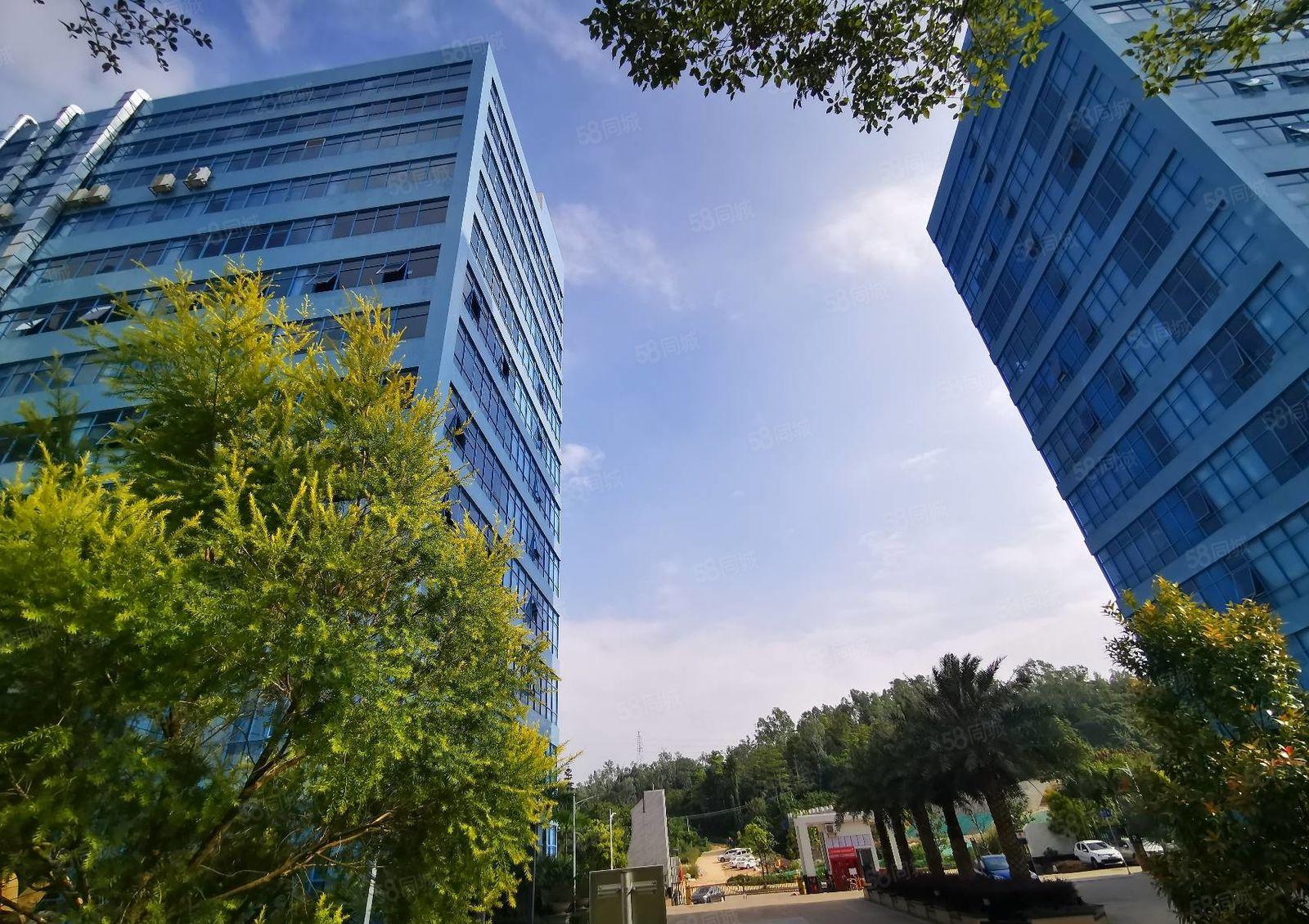 宝安石岩大型工业区原房东红本实际面积2000平厂房出租