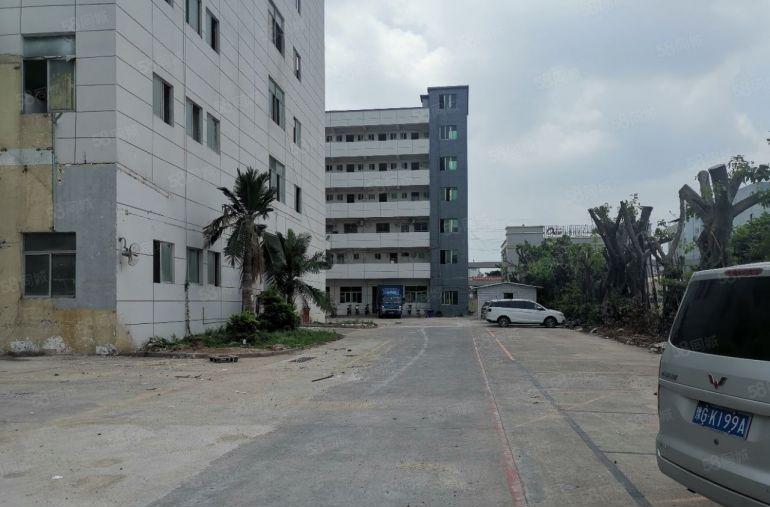 福海国际会展中心6816平方米全新独栋厂房业主直租超大空地