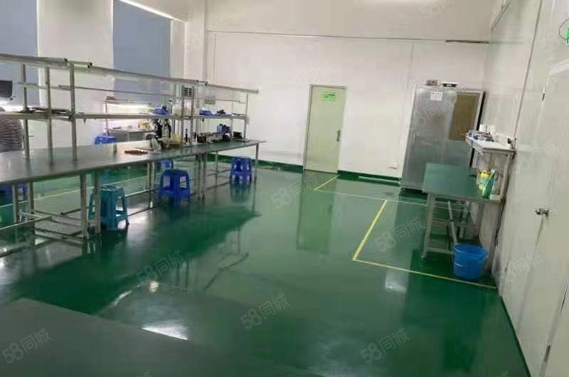 福永地铁口600平精装修厂房出租分租仓库招租独院无尘车间分租