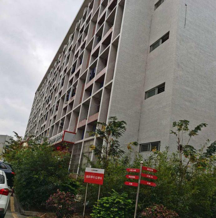 红本西乡原房东直租500平3000平20000请带装修厂房租