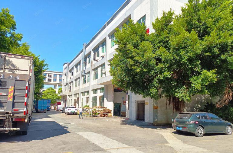 松岗塘下涌原房东红本厂房二楼2300平精装修空地大过环评