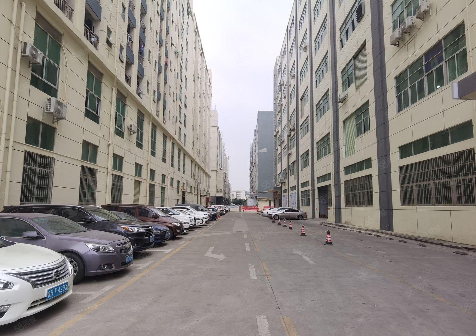 沙井大王山原房东红本厂房600平方米精装修厂房出租