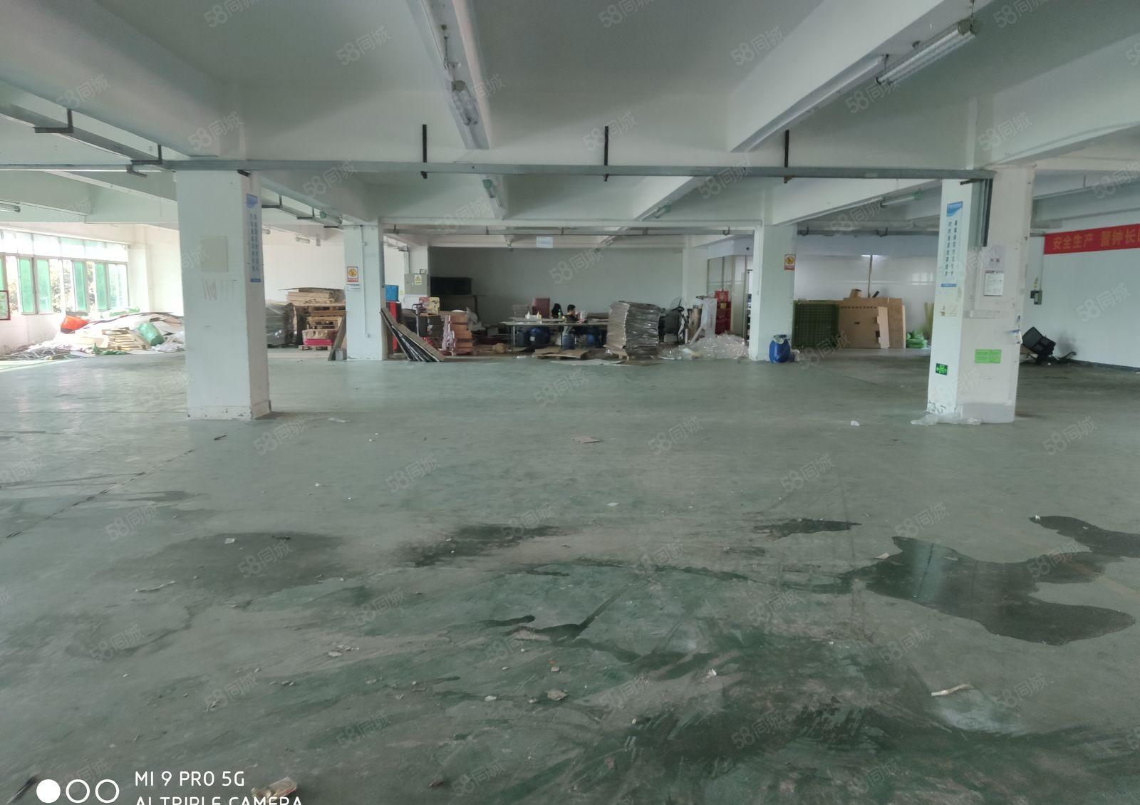 黄麻布洲石路边新出楼上整层2000平米厂房招租