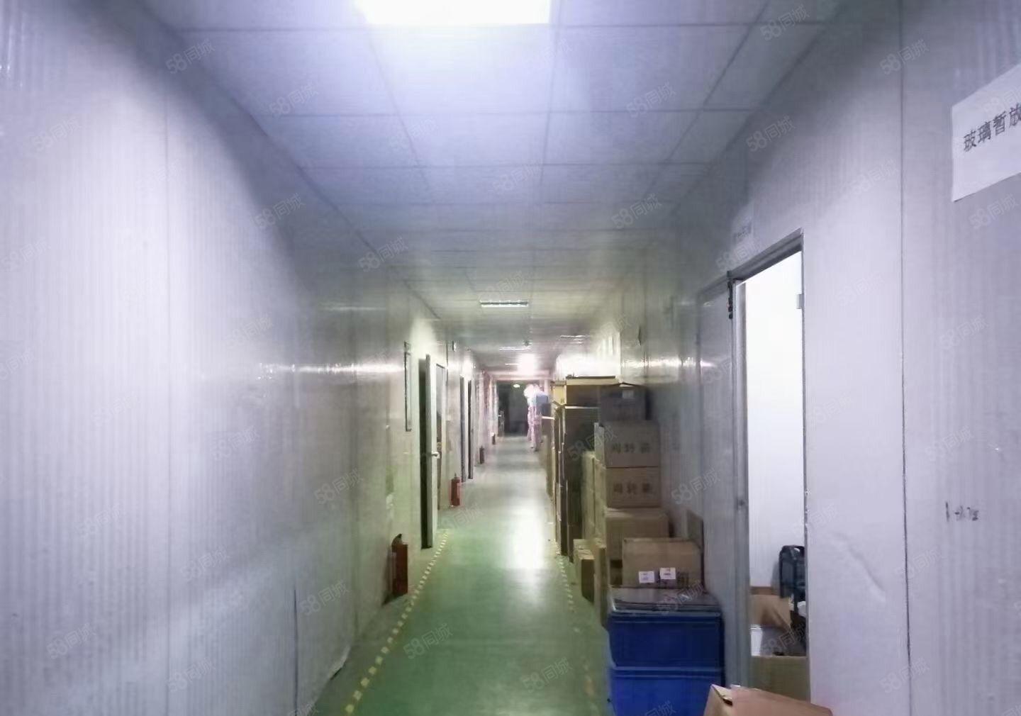 沙井东环路黄埔工业区独院厂房二楼整层2600平，带精装修