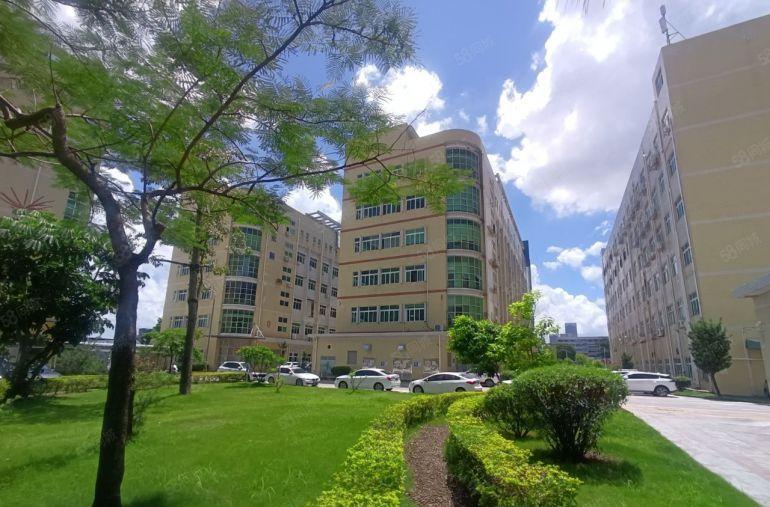 实际面积！水田工业区楼上整层1500平方实际精装修厂房出租