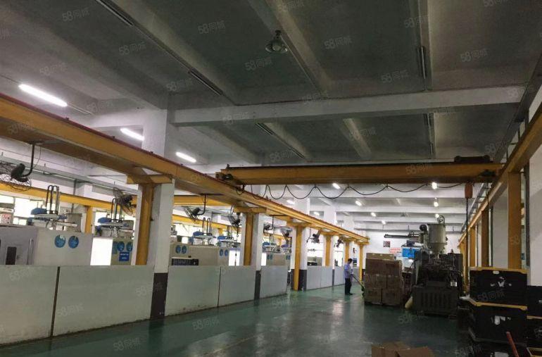 松岗东方大道旁新出一楼600平方厂房出租带航车办公室精装修