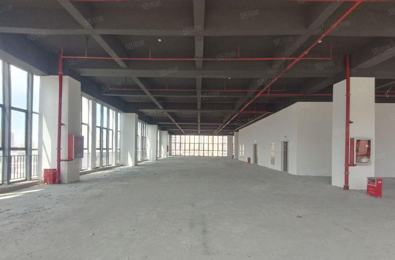 福永新型厂房国道旁1500平全新标准厂房高新补贴装修