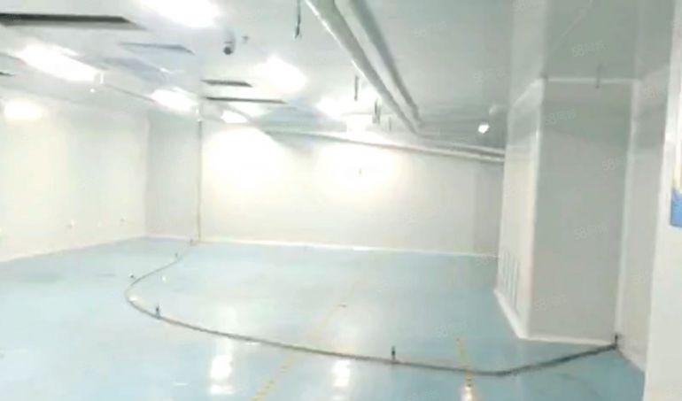 西乡精装厂房仓库100平200平300平400平一5000平