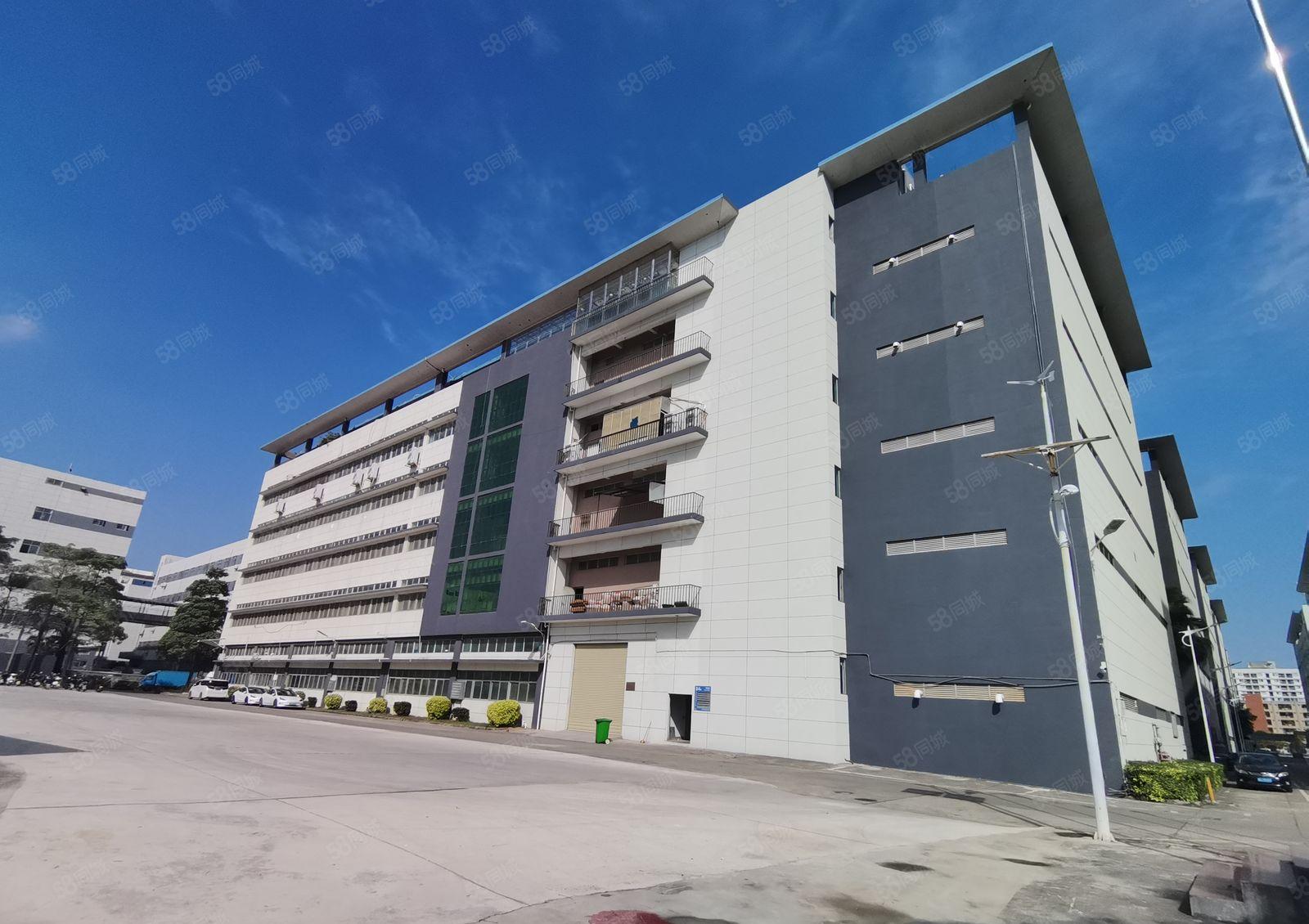 （出租）福永原房东工业园区精装修900平厂房出租红本