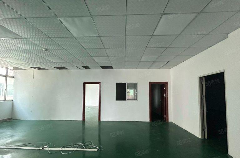 新安600平厂房出租仓库出租可分租低价出租实际面积无公摊