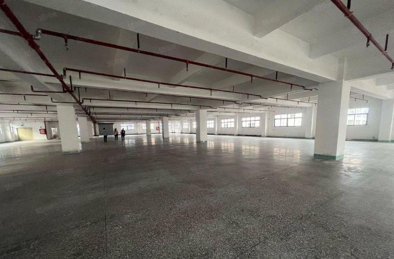 石岩仓库100平起至3000平 低价出租仓库厂房一楼公摊小