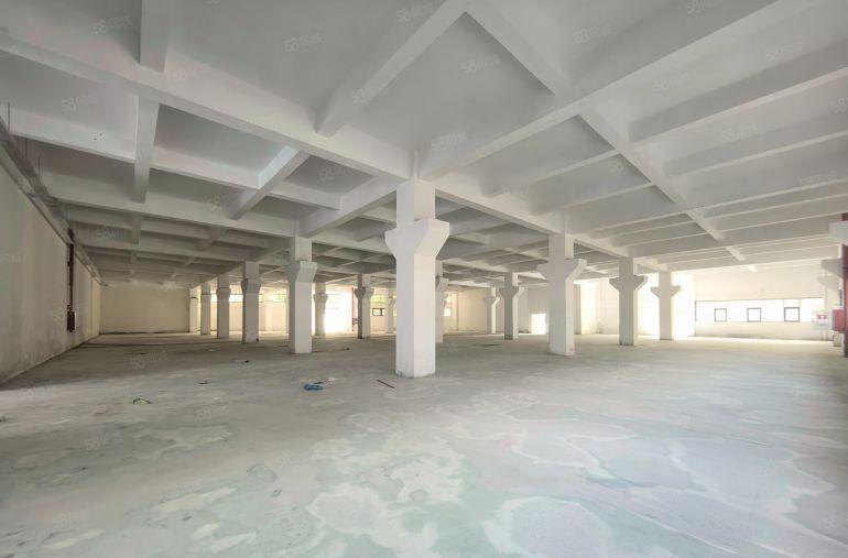 超大空地！西乡九围原房东独门独院7000平厂房大小分租已电改