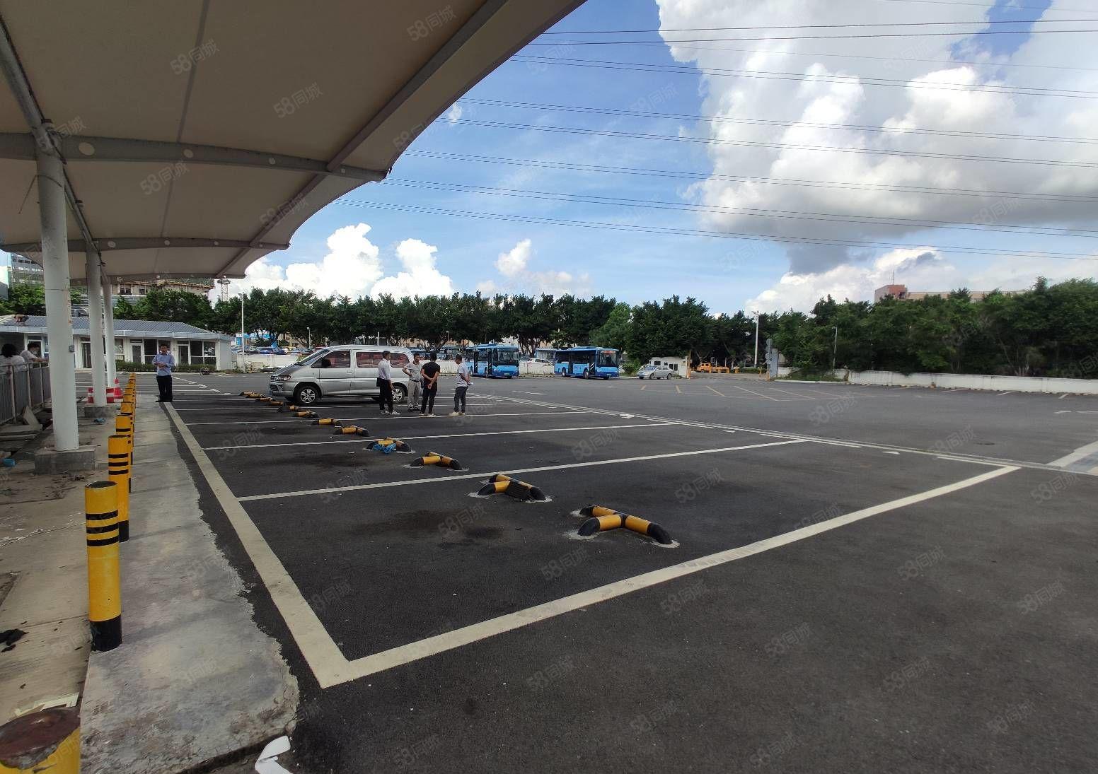 松岗山门松柏路边一手房东独院水泥空地9000平出租可大小分租