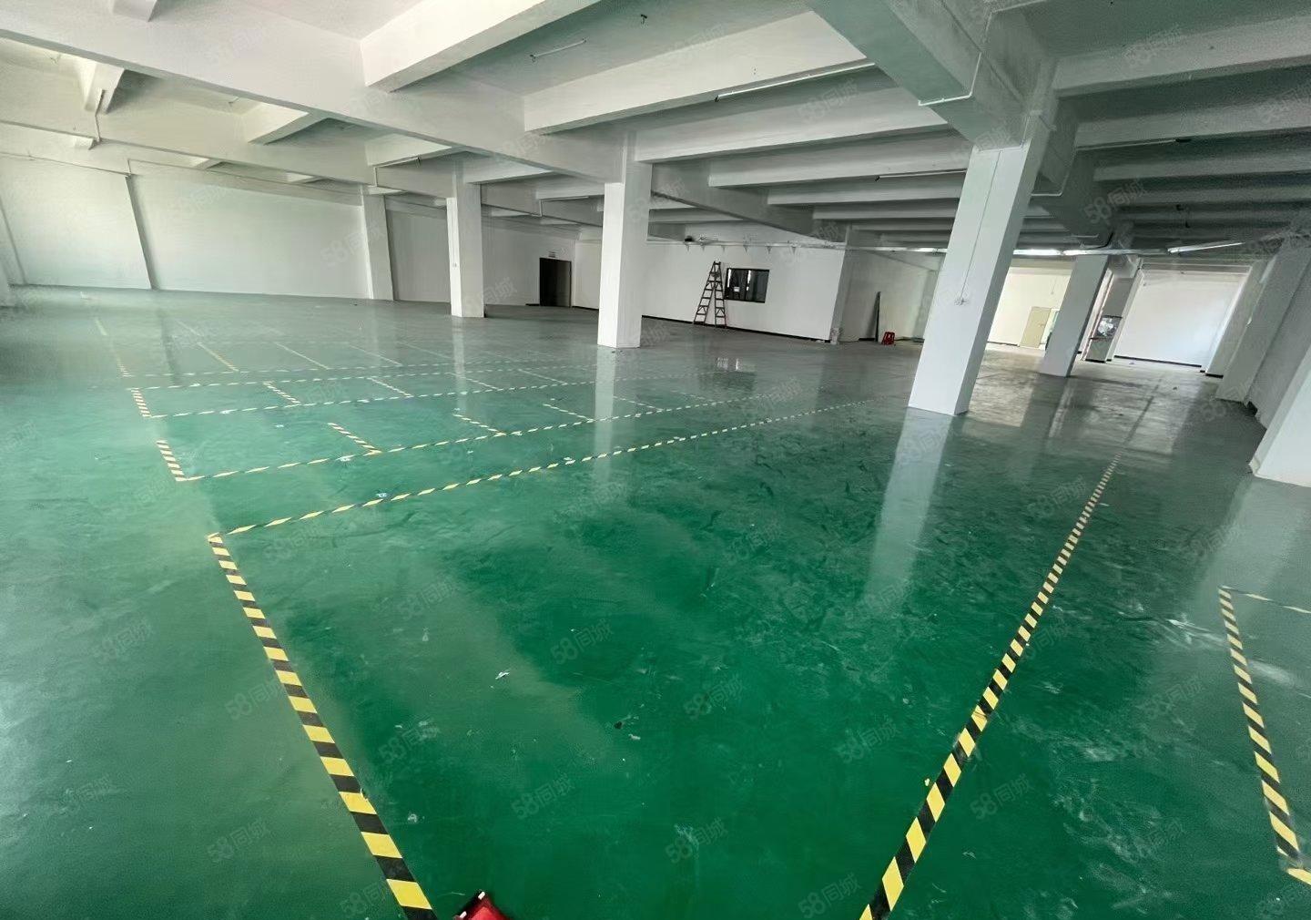 石岩石龙仔高新科技园2楼4900平精装修厂房可分租