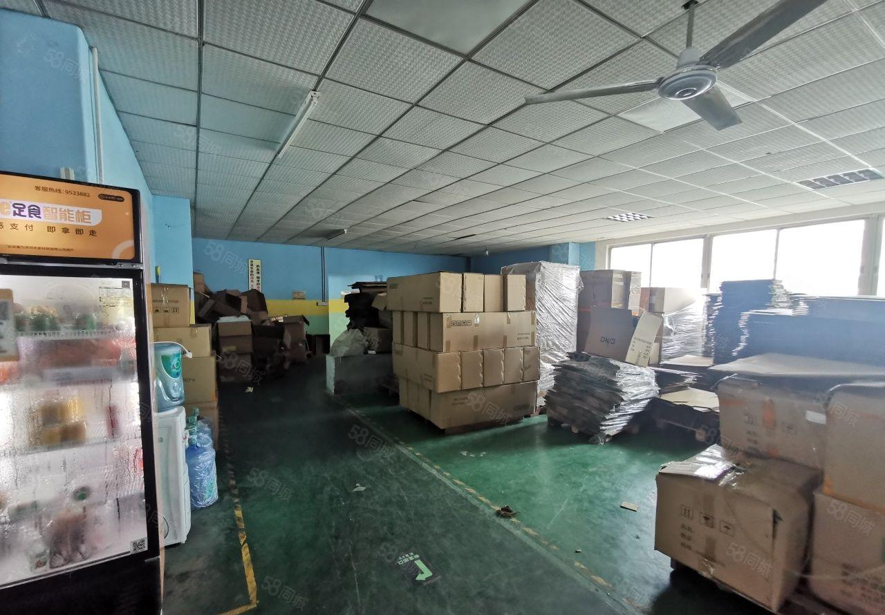 福永楼上一整层大型园区厂房，形象好，环境优美