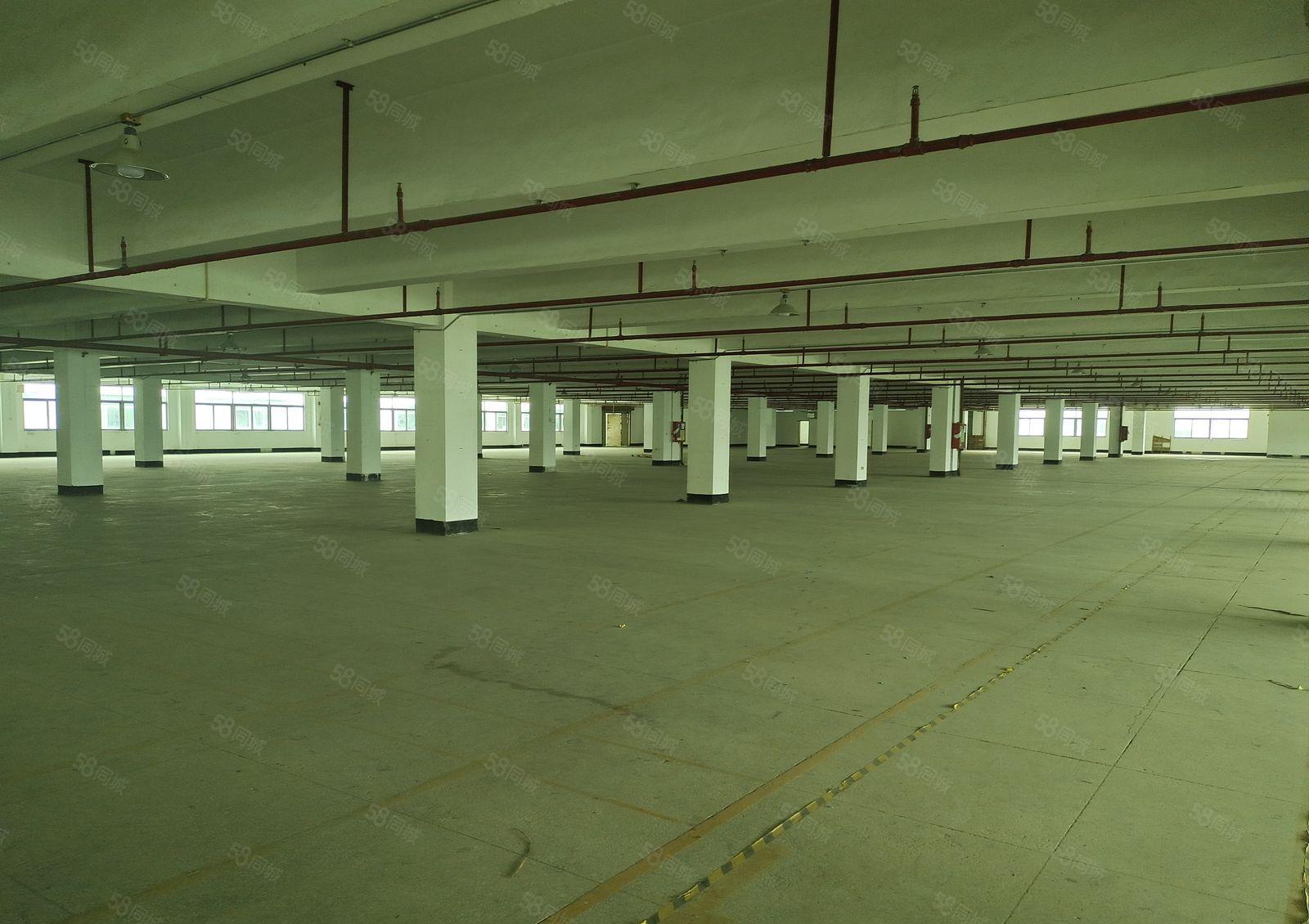 福海盛和兴工业园厂房仓库出租