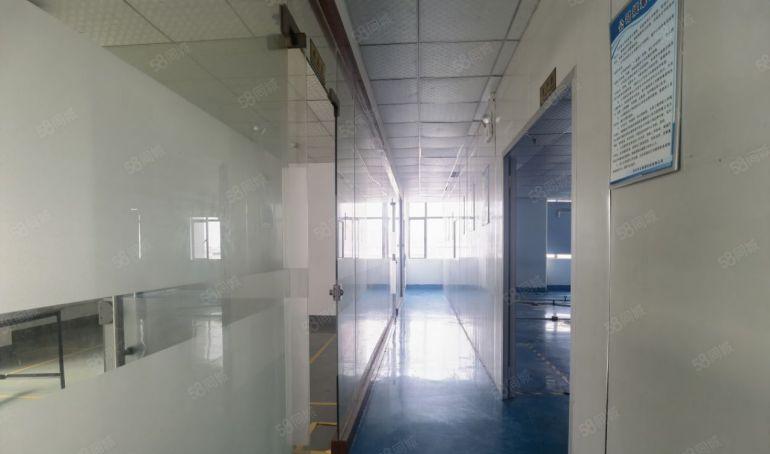 后亭地铁口全新厂房750平，带精装修，不要转让费，3吨大电梯