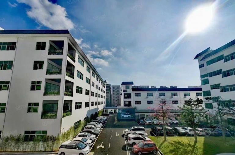 石岩高速口村委红本花园式独栋五层9800平低价出租分租