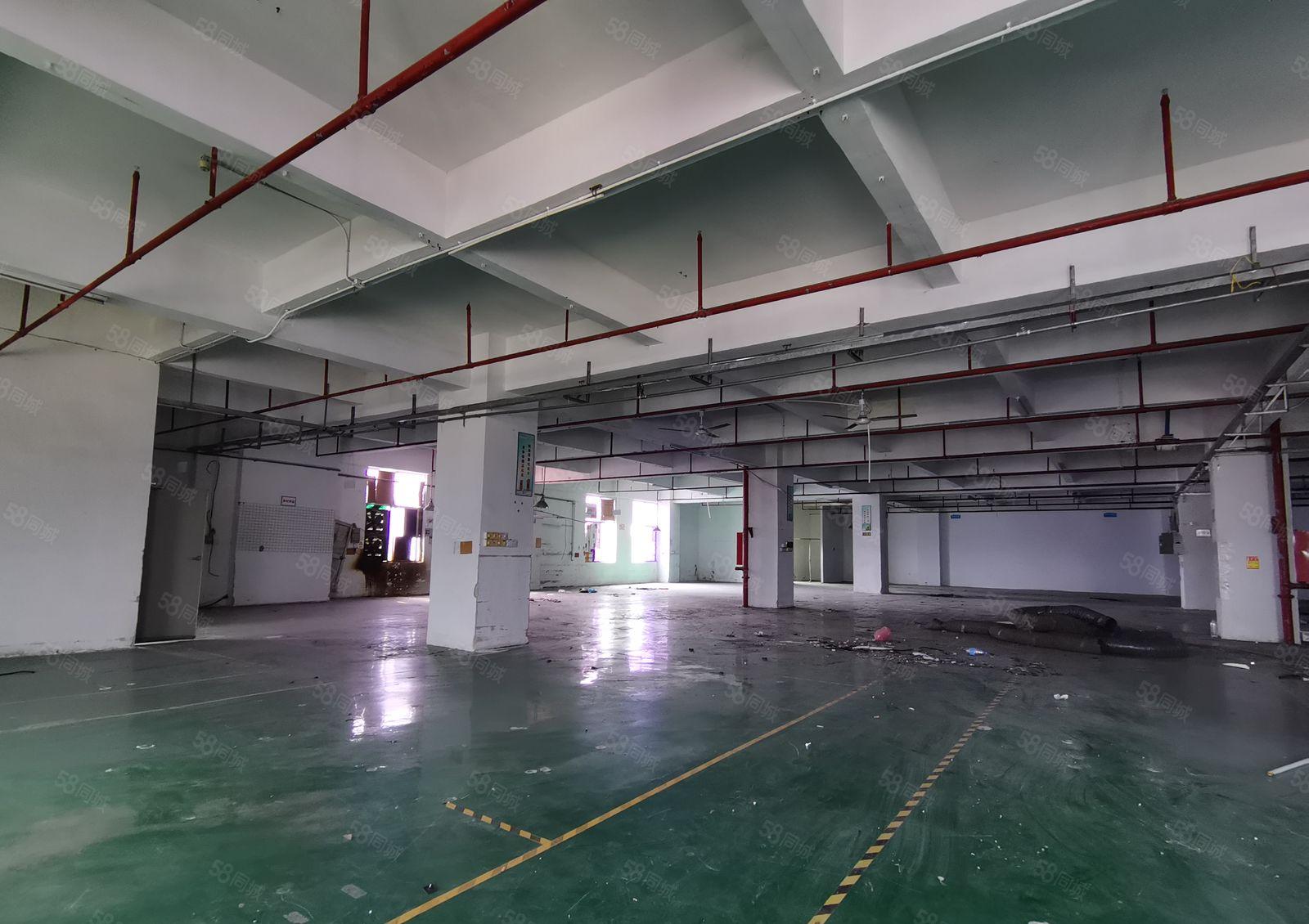 福永桥头1000平 15000平独门独院精装修原房东工业厂房