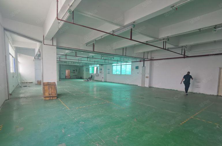 西乡固戍南昌附近一手房东直租425平面积实用