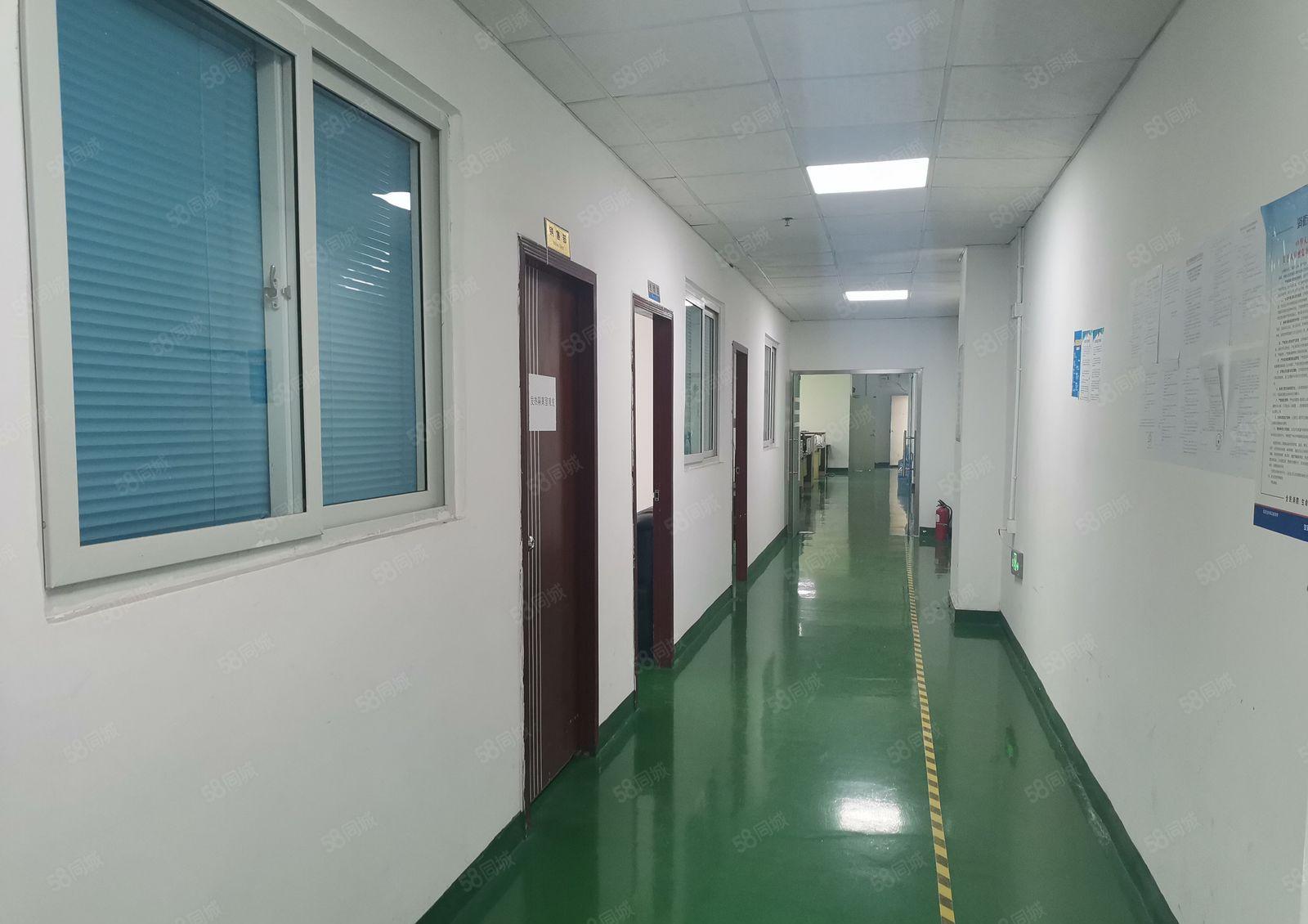 九围勒竹角700平米带装修无尘车间电子厂厂房出租