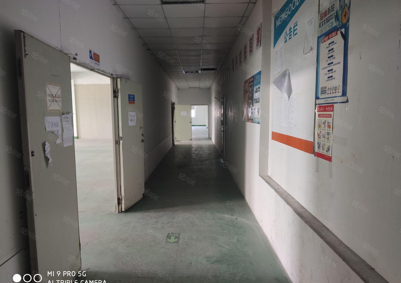 黄田107国道附近工业园楼上整层1300平米带装修厂房出租