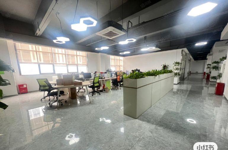 石岩独门独院整层精装1000平办公研发医疗电商仓库厂房出租