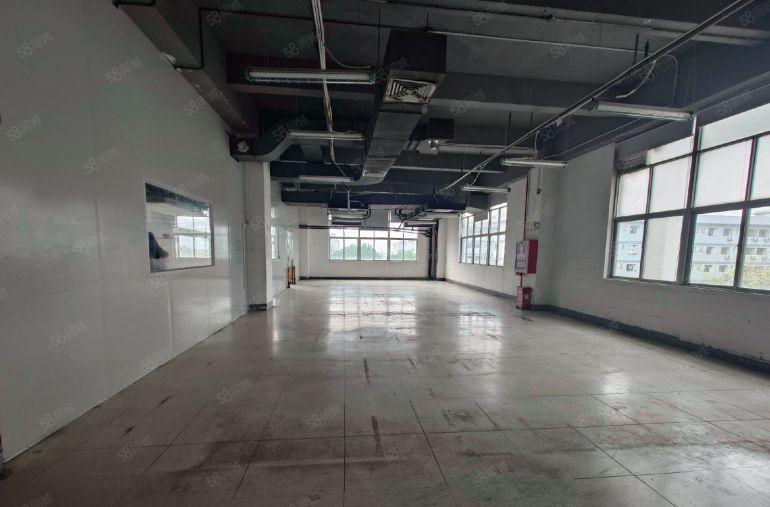 洲石路簕竹角黄麻布工业园楼上3000平厂房出租大小可分租