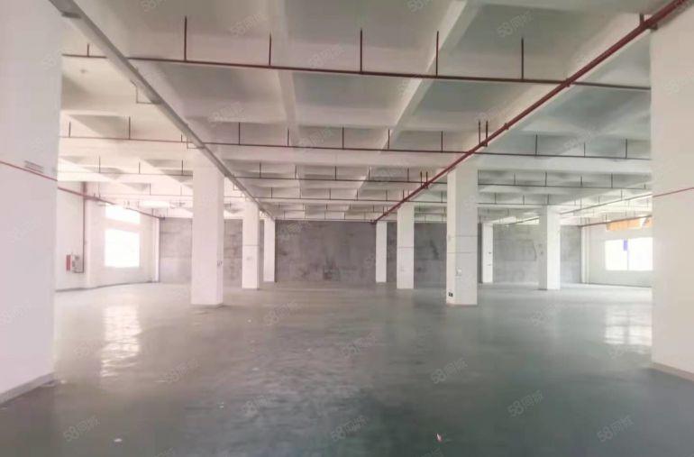 福永机场工业园区带装修一楼1500平厂房仓库出租分租空地大