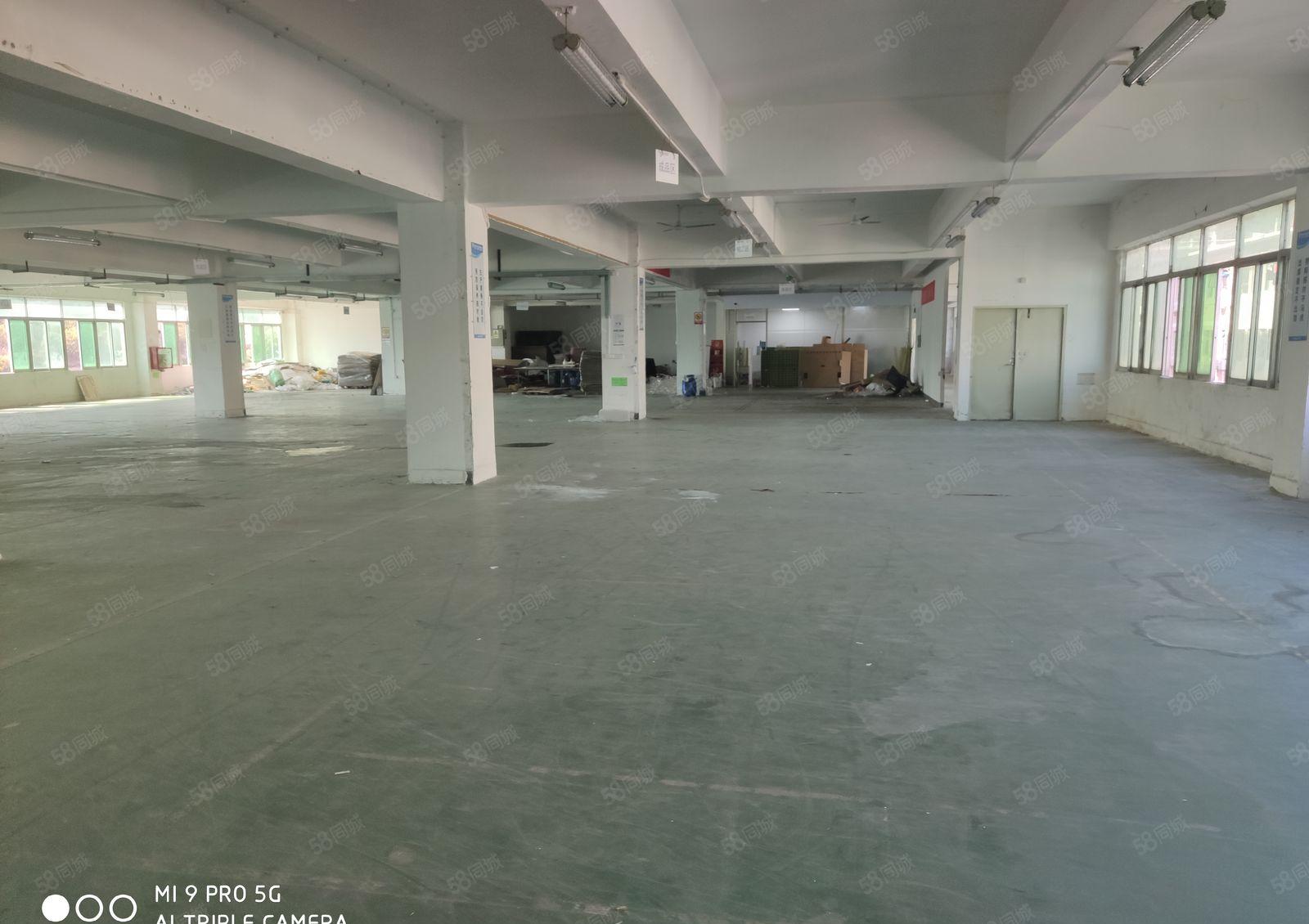 黄麻布洲石路边新出楼上整层2000平米厂房招租