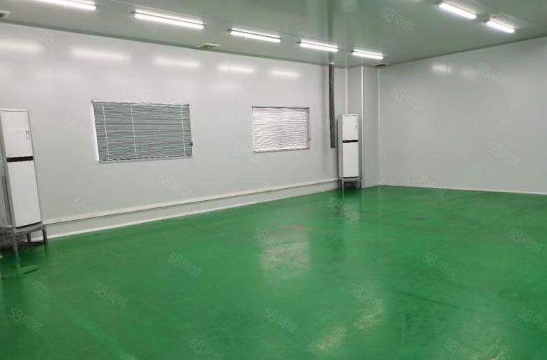 200平起租松岗地铁口附近独院12000平厂房招租红本过环评