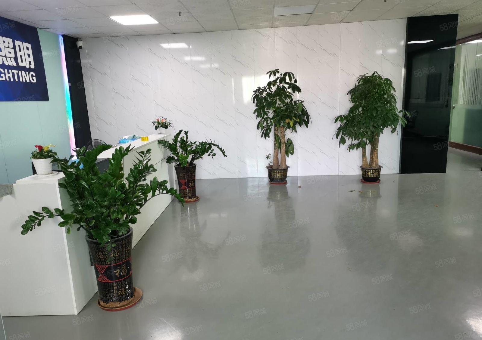 福永地铁口村委300平至2000平精装修低价仓库厂房出租