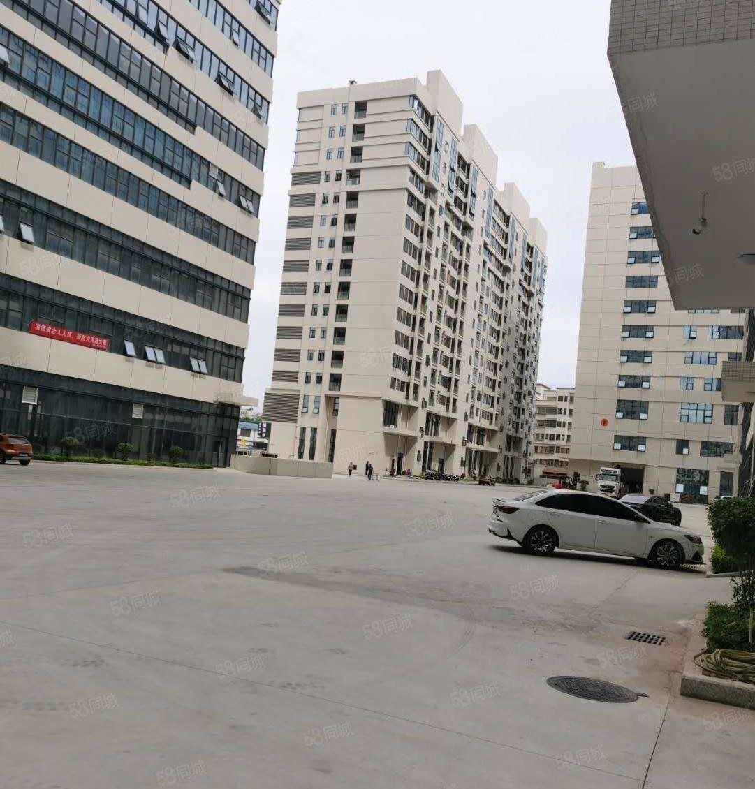 宝安新安地铁口双货梯，1000平可分租 5万办公电商科研展厅